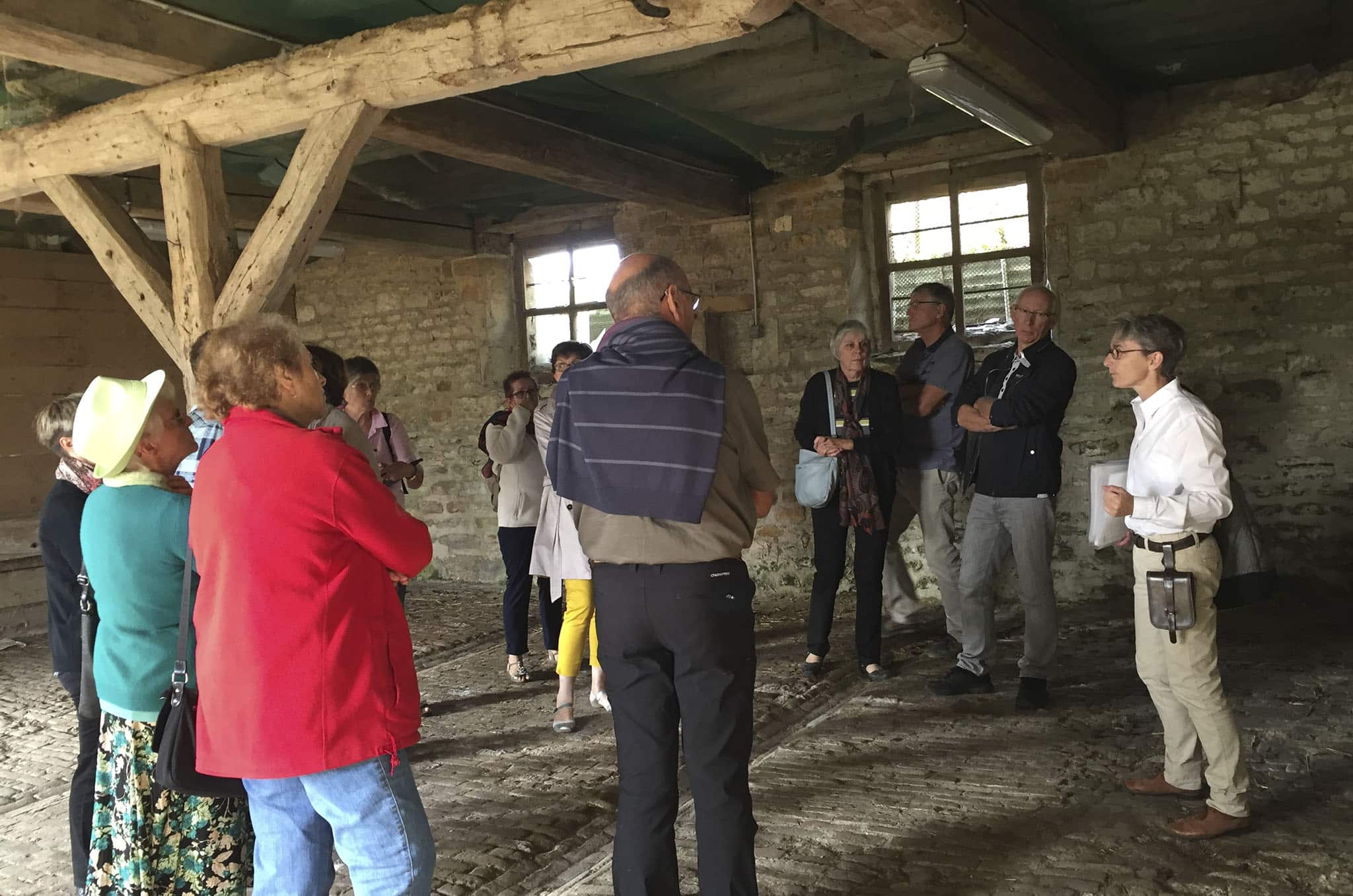 Visite groupe écurie